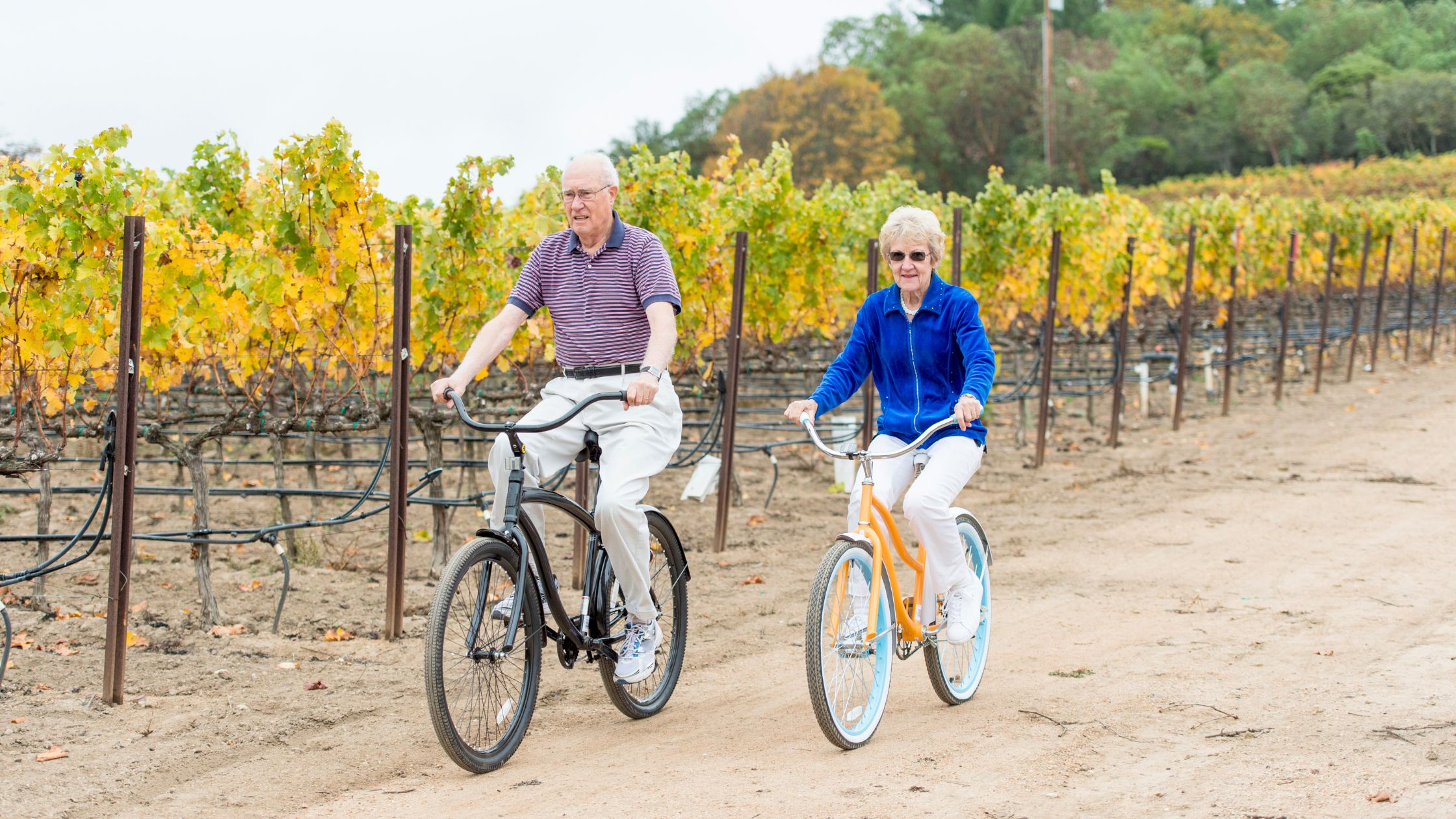 Was ist ein E-Bike für Senioren