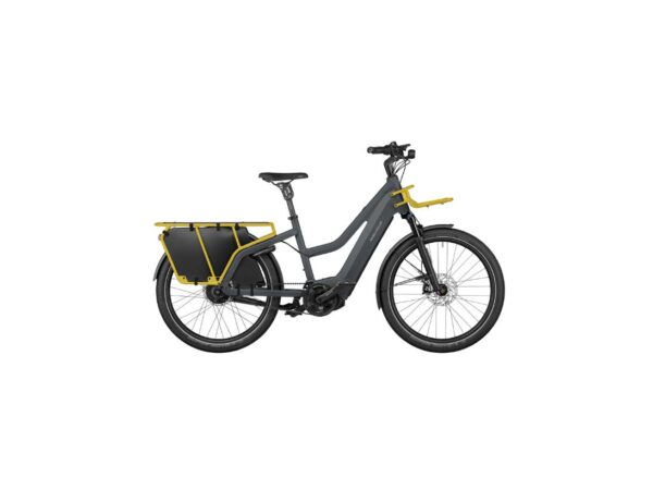 Riese & Müller Multicharger2 Mixte GT vario