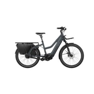 Riese & Müller Multicharger2 Mixte GT vario