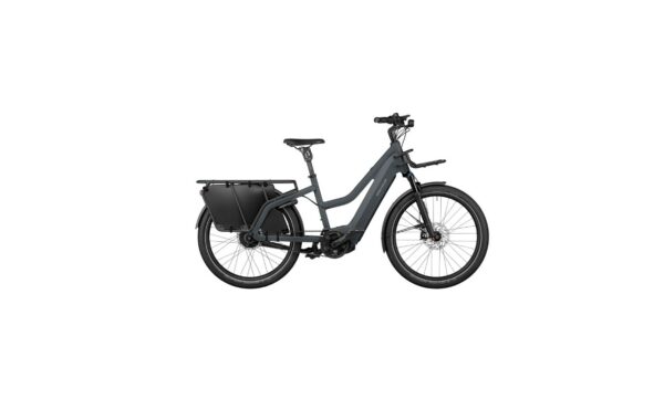 Riese & Müller Multicharger2 Mixte GT vario