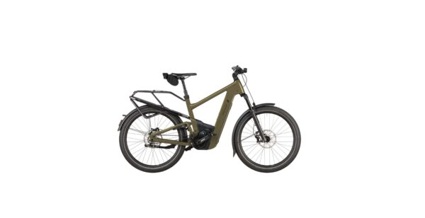 Riese & Müller Delite5 GT Pinion