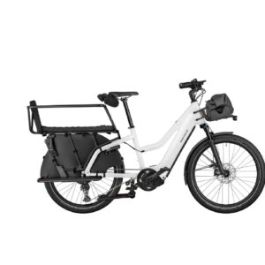 Riese & Müller Multicharger2 Mixte EASY