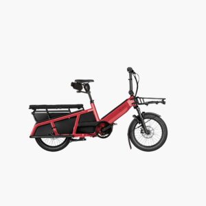 Riese & Müller Multitinker2 vario