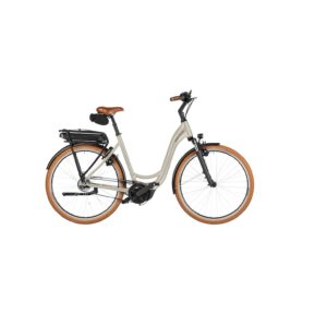 Riese & Müller Swing5 Rücktritt