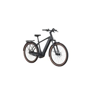 Bergamont E-Horizon SUV 20 Belt