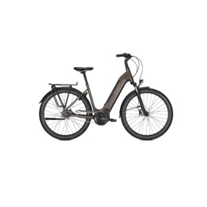 reisenthel Carrybag GT - eBike Store Leipzig